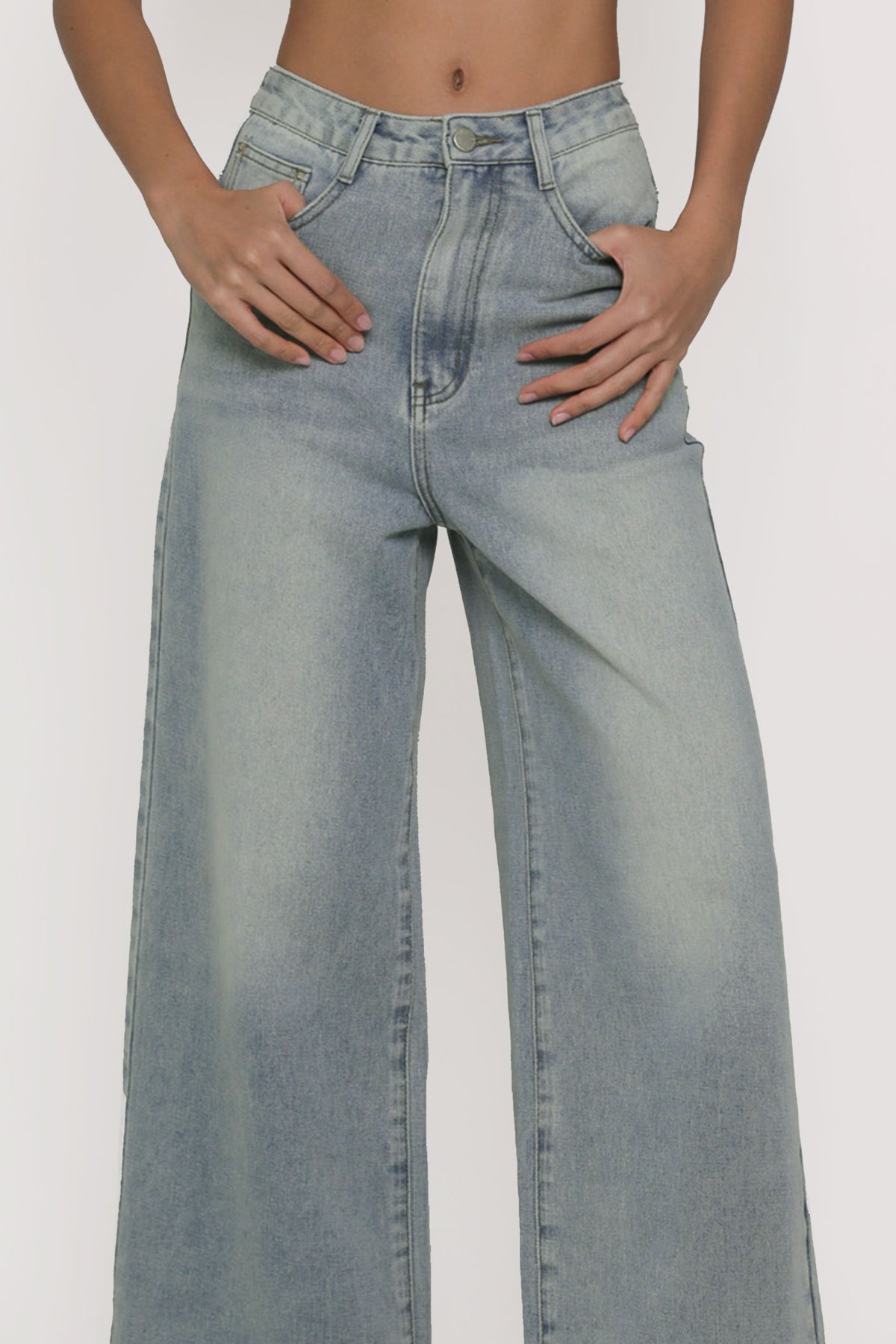 Petite Benjamin Wide Leg Denim Jeans (Light Wash)